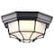 Nuvo LED Spider Cage Fixture, Black Finish with Frosted Glass 62/1400 - alternate 2